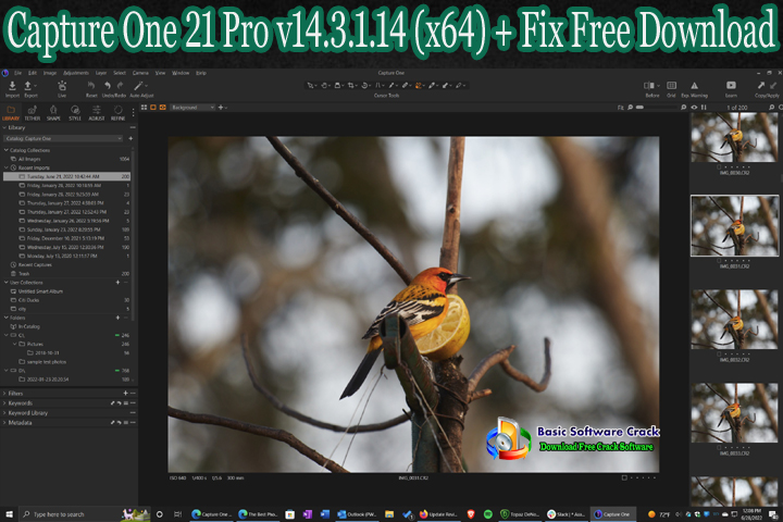 Download Capture One 21 Pro 14 (Win/Mac)