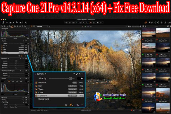 Capture one 21 pro v14 3.1 14 x64 crack