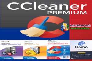 CCleaner Professional Plus v5.84.0.1 + Fix Free Download