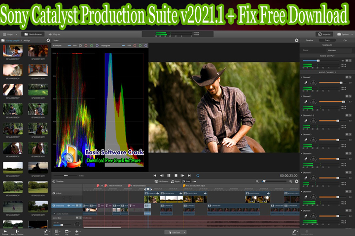 Catalyst Production Suite 2021.1 - Download